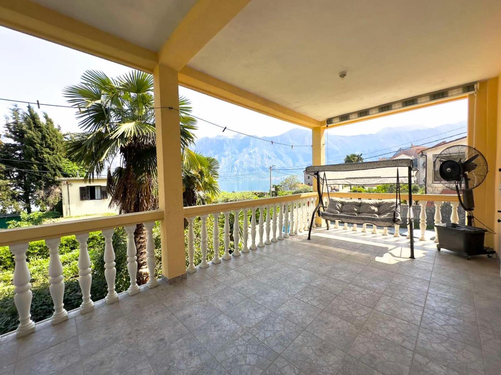 Asya Kotor